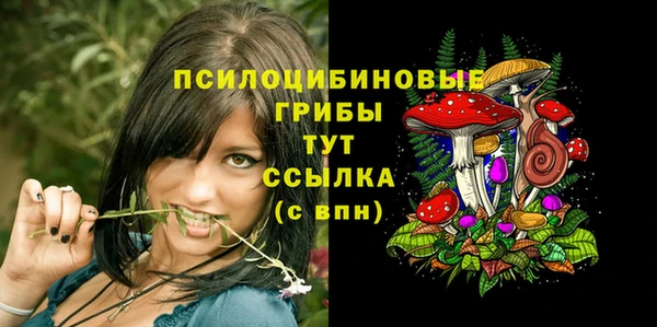 ГАЛЛЮЦИНОГЕННЫЕ ГРИБЫ Кукмор