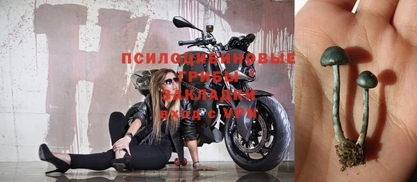 гидра Туринск