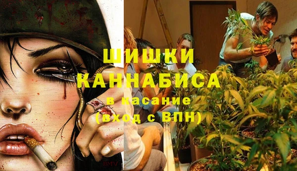 ГАЛЛЮЦИНОГЕННЫЕ ГРИБЫ Кукмор
